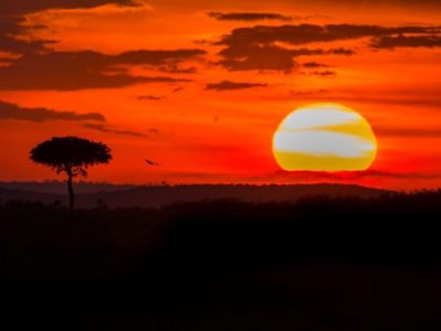 Incredible Kenya Pictures an Amazing Visual Journey