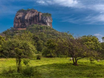 21 of the Very Best Things to do in Sri Lanka