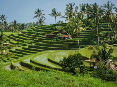 28 Things to do in Bali – Local Insider Tips