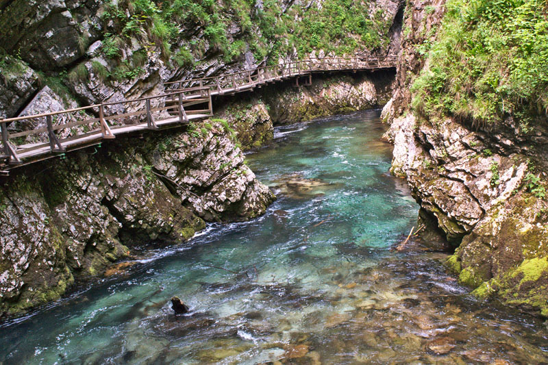 things to do in slovenia gorge