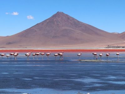 10 Reasons You Should Travel To Bolivia